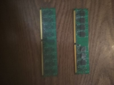 Sheilded ram-1.jpg