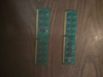 Sheilded ram-2.jpg