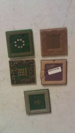 pic2.jpg