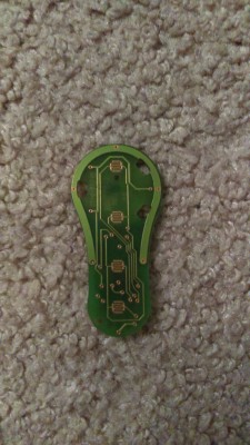 IMAG0155.jpg